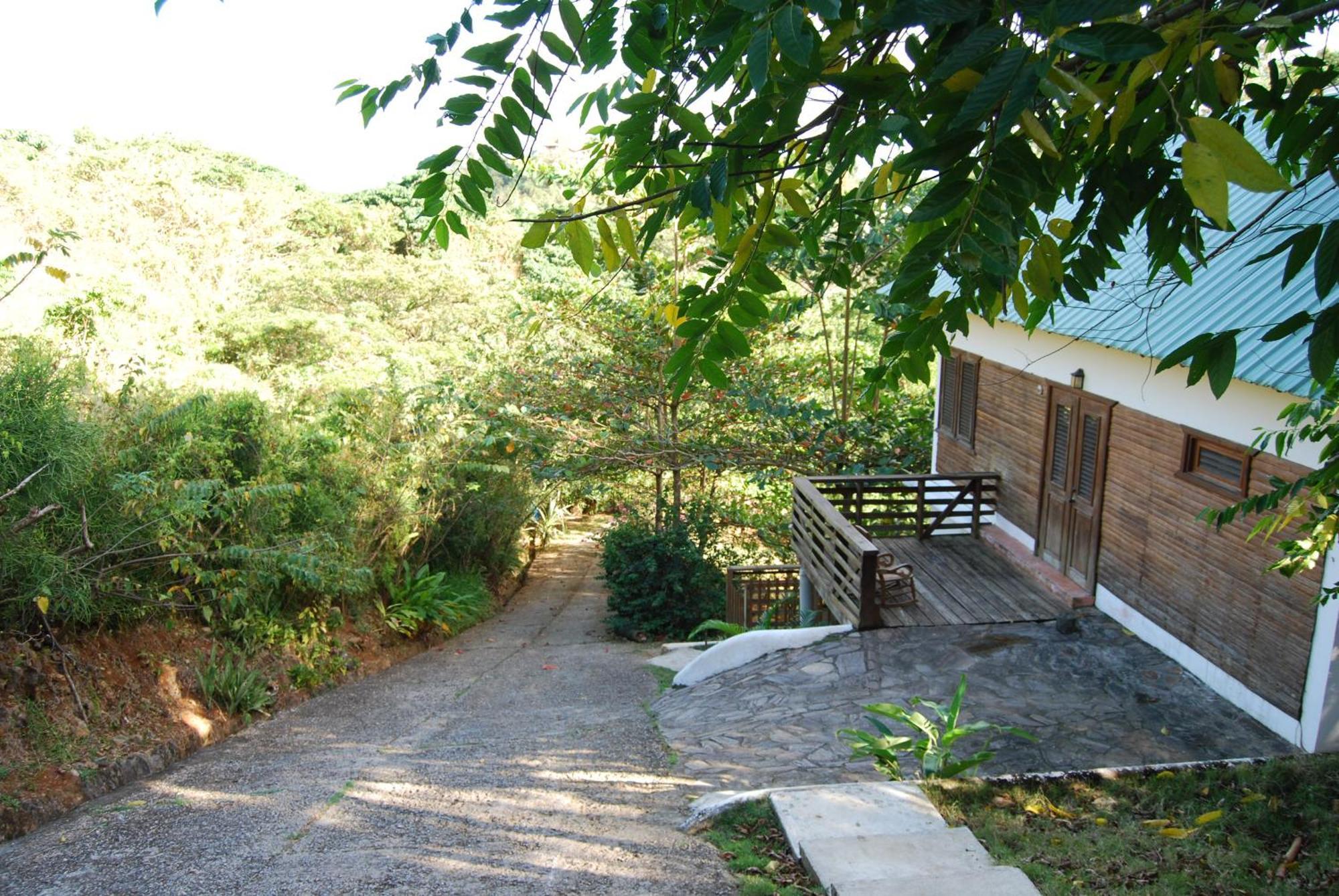Clave Verde Ecolodge Las Terrenas Cameră foto