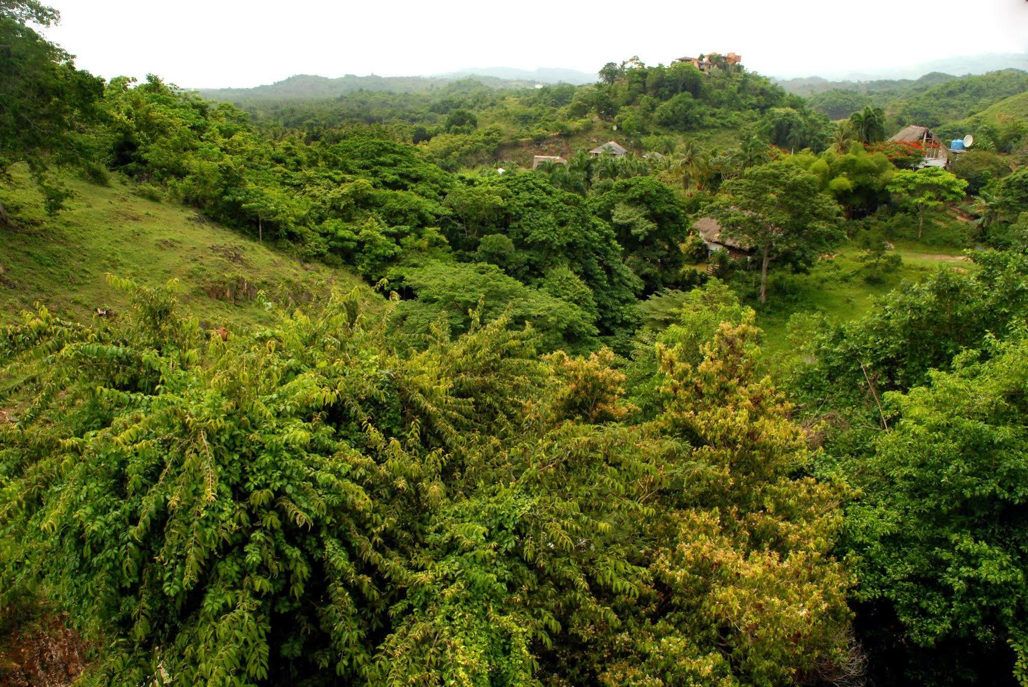 Clave Verde Ecolodge Las Terrenas Exterior foto